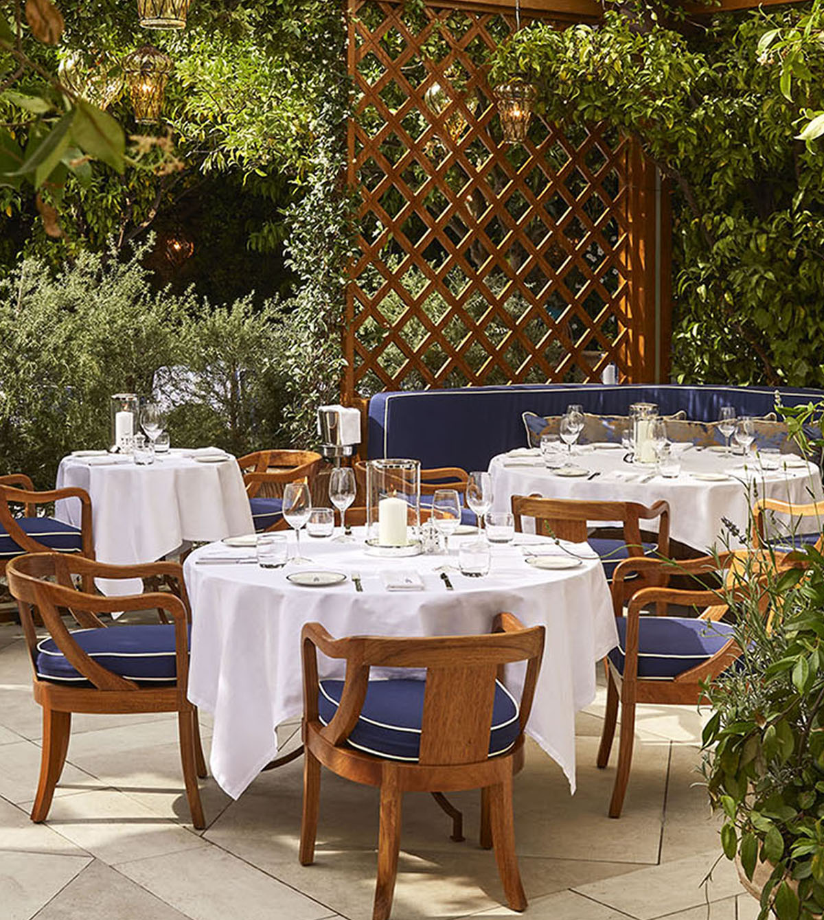 Cipriani - Moma Le Club